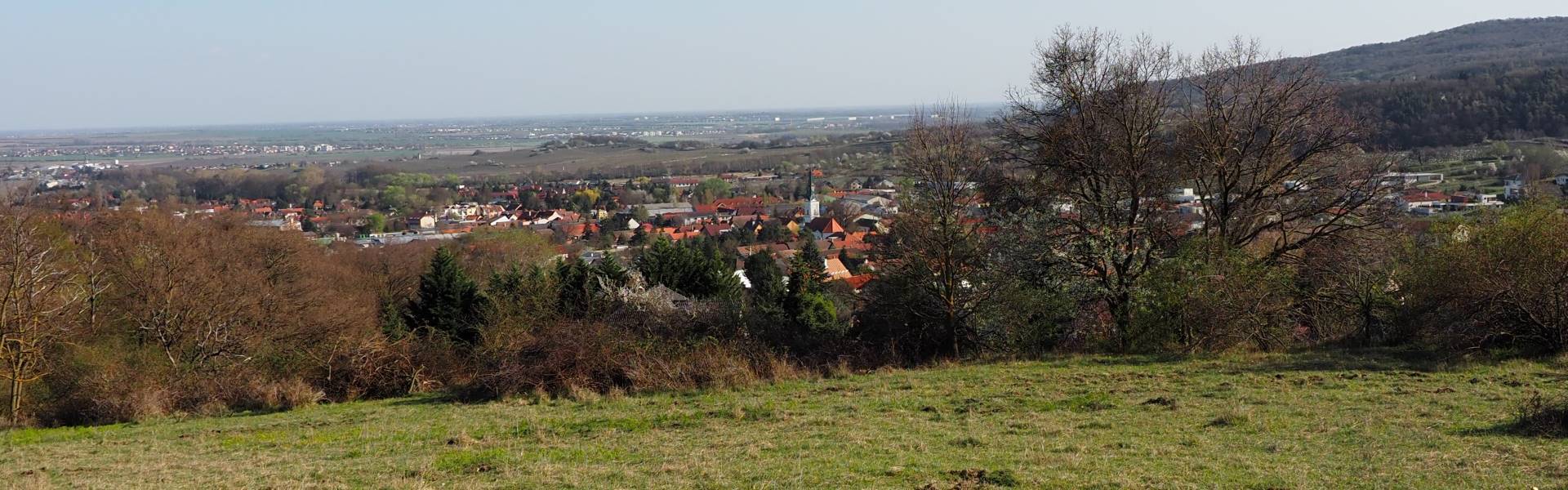 Pozemky Limbach